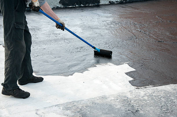 Best Custom Concrete Contractor  in Robstown, TX